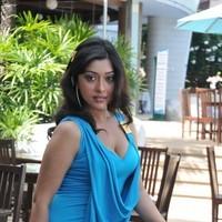 Payal Ghosh New Hot and Spicy Gallery | Picture 90673